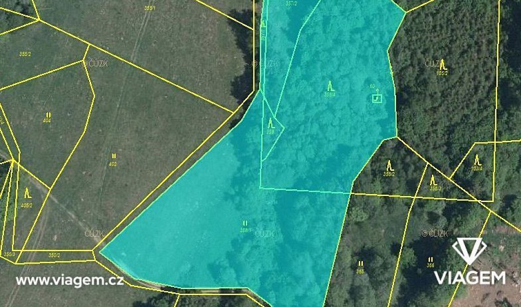 Prodej lesa 2 503 m², Kaliště – náhled fotky 3