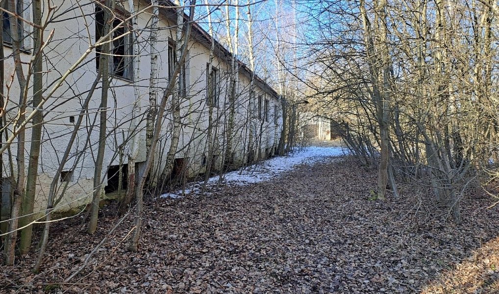 Prodej komerčního pozemku 15 899 m², Šafov – náhled fotky 8