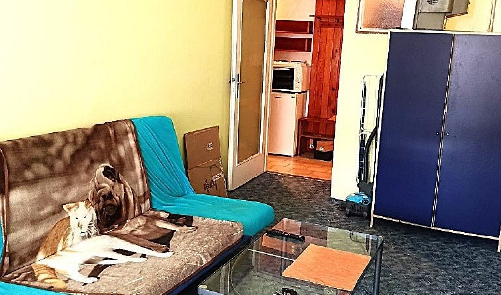 Pronájem bytu 1+kk 28 m², Brno – náhled fotky 5