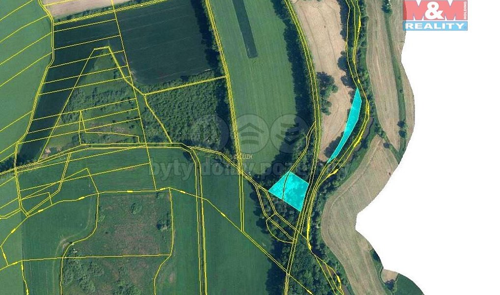 Prodej lesa 6 063 m², Úvalno – náhled fotky 4