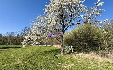 Pronájem zahrady 1 636 m², Olomouc - Hodolany