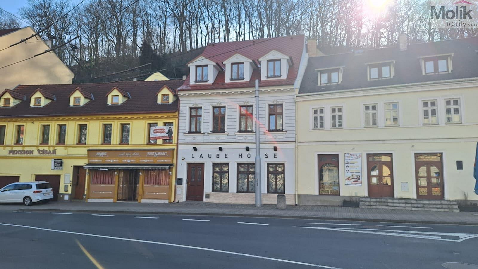 10 rooms, 425.0 m² in Teplice
