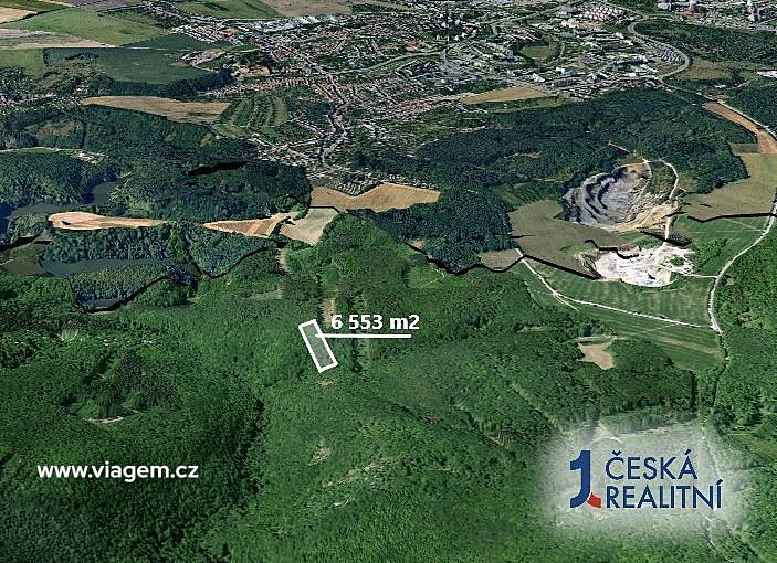 Prodej lesa 1 092 m² – fotografie 2