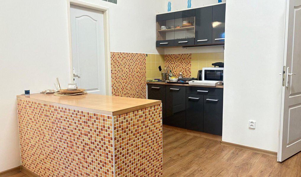 Pronájem bytu 2+kk 60 m², Karlovy Vary – náhled fotky 3