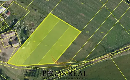 Prodej pole 4 688 m², Jiřice u Miroslavi, okres Znojmo