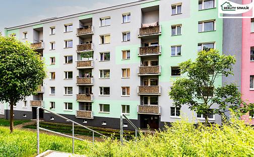 Prodej bytu 3+1 79 m², Dvořákova, Cheb