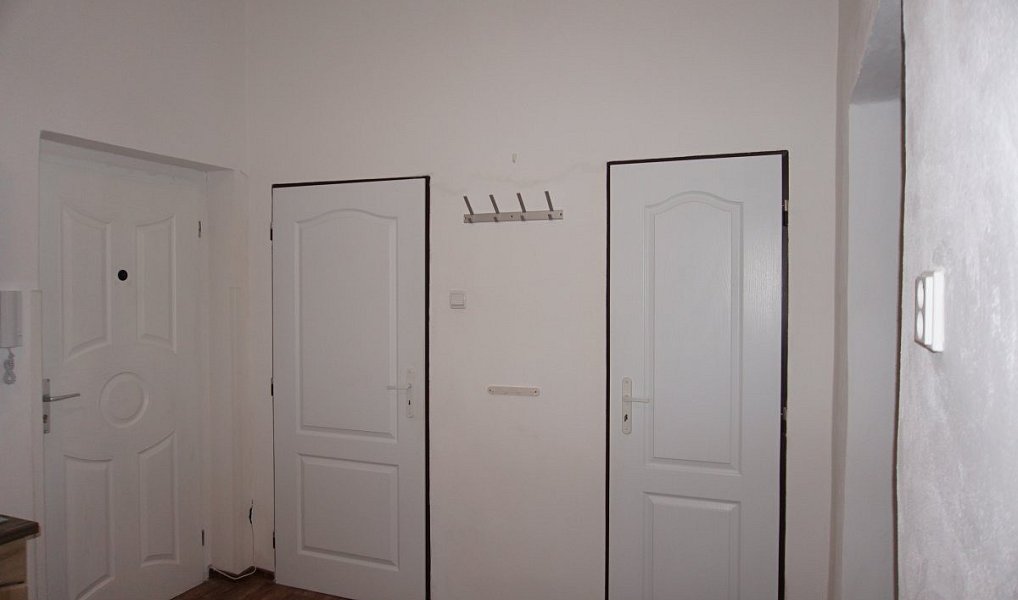 Pronájem bytu 2+1 38 m², České Budějovice – náhled fotky 12