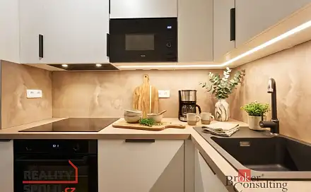 Pronájem bytu 2+kk 57 m², Roháčova, Praha 3 - Žižkov