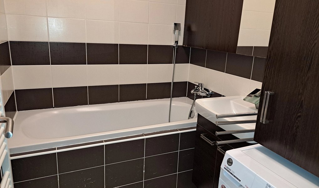 Pronájem bytu 3+kk 66 m², Brno – náhled fotky 8