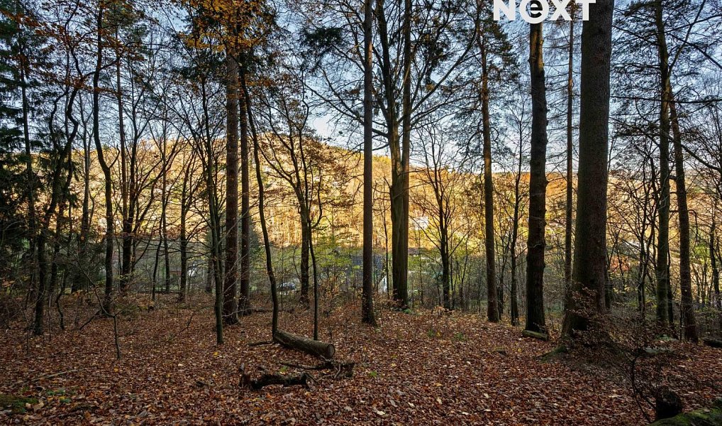 Prodej stavebního pozemku 3 487 m², Malá Skála – náhled fotky 5