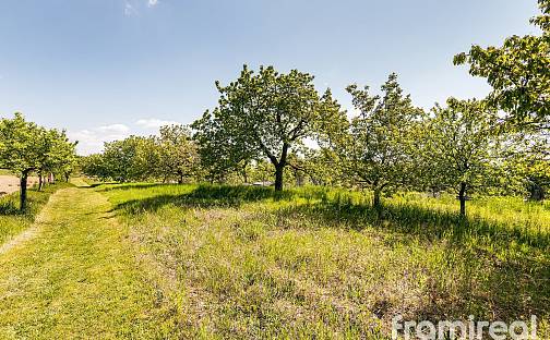 Prodej stavebního pozemku 4 392 m², Hlína, okres Brno-venkov