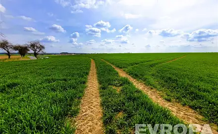 Prodej pole 27 281 m², Čistá, okres Mladá Boleslav