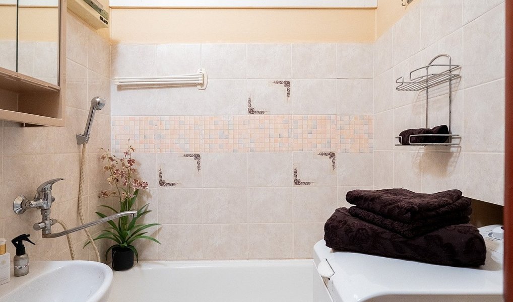 Prodej bytu 2+1 51 m², Lovosice – náhled fotky 6