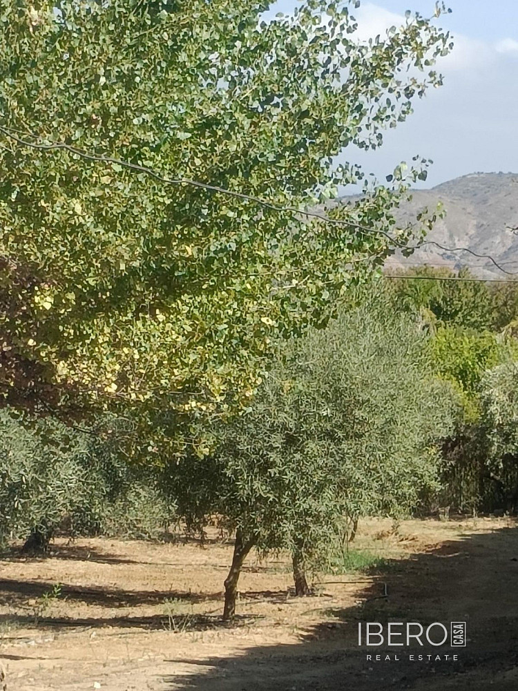 Prodej domu 443 m² s pozemkem 11 000 m² — photo 2