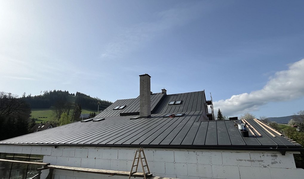 Prodej ubytovacího objektu 800 m², Červená Voda – náhled fotky 6