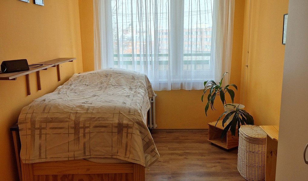 Prodej bytu 2+kk 51 m², Teplice – náhled fotky 6
