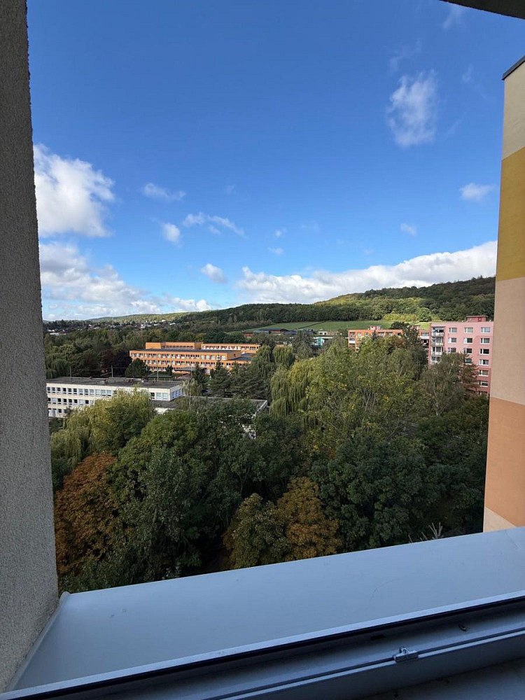 Pronájem bytu 1+1 43 m² – fotografie 5