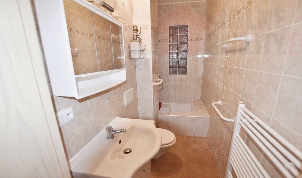 Pronájem bytu 1+1 50 m², Praha – náhled fotky 5