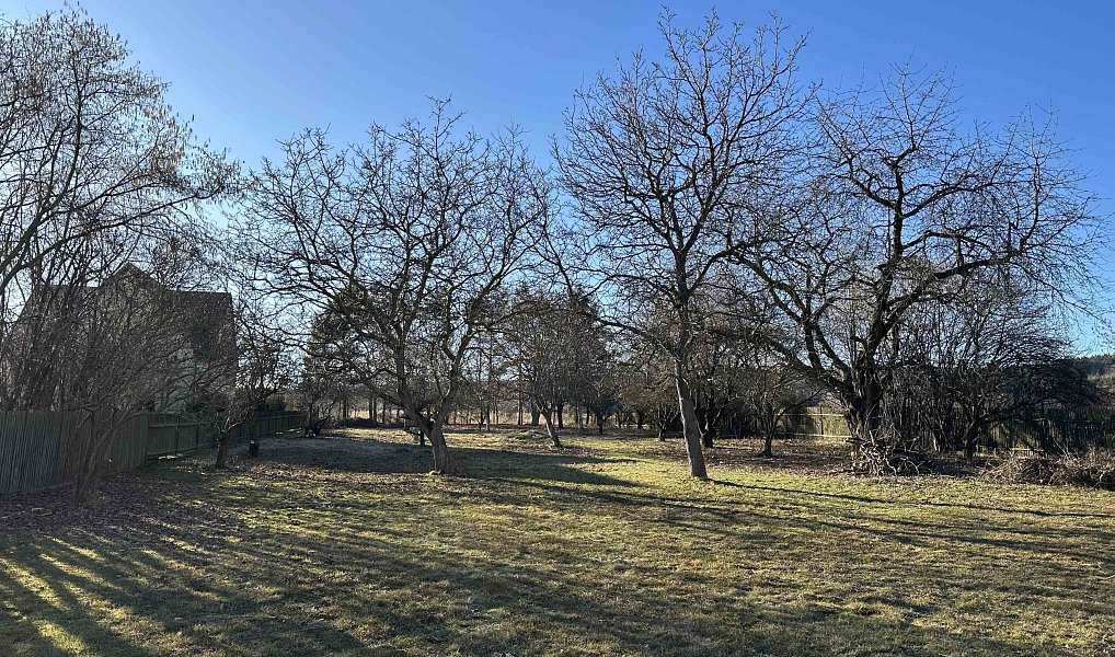 Prodej stavebního pozemku 1 472 m², Pičín – náhled fotky 10