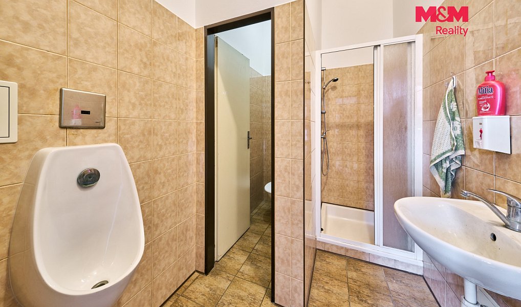 Pronájem výrobních prostor 453 m², Dubenec – náhled fotky 23