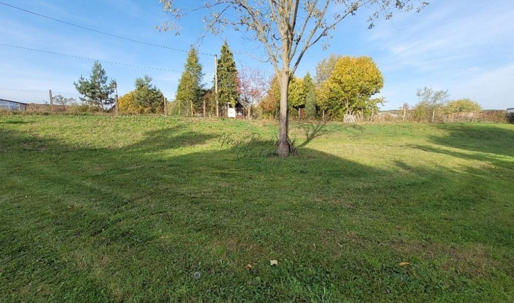 Prodej stavebního pozemku 1 237 m², Zdemyslice – náhled fotky 10