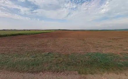 Prodej pole 17 410 m², Pouzdřany, okres Břeclav