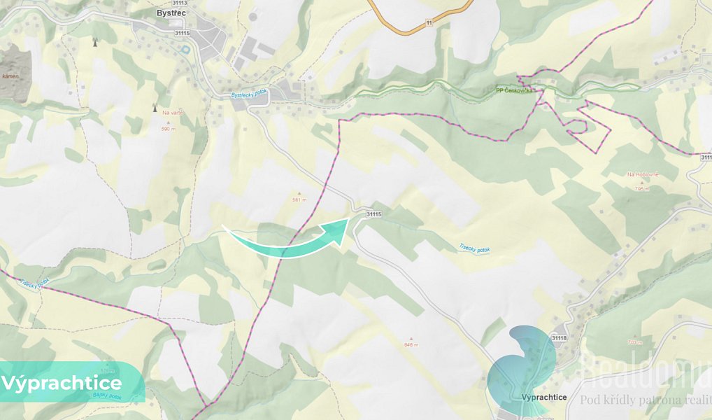 Prodej louky 6 838 m², Výprachtice – náhled fotky 4