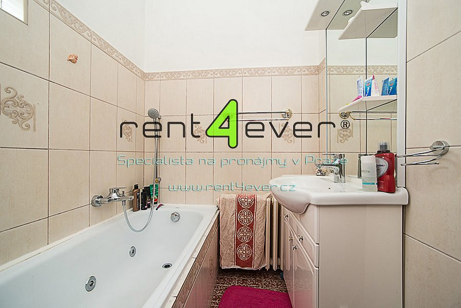 Pronájem bytu 1+kk 27 m² — photo 5