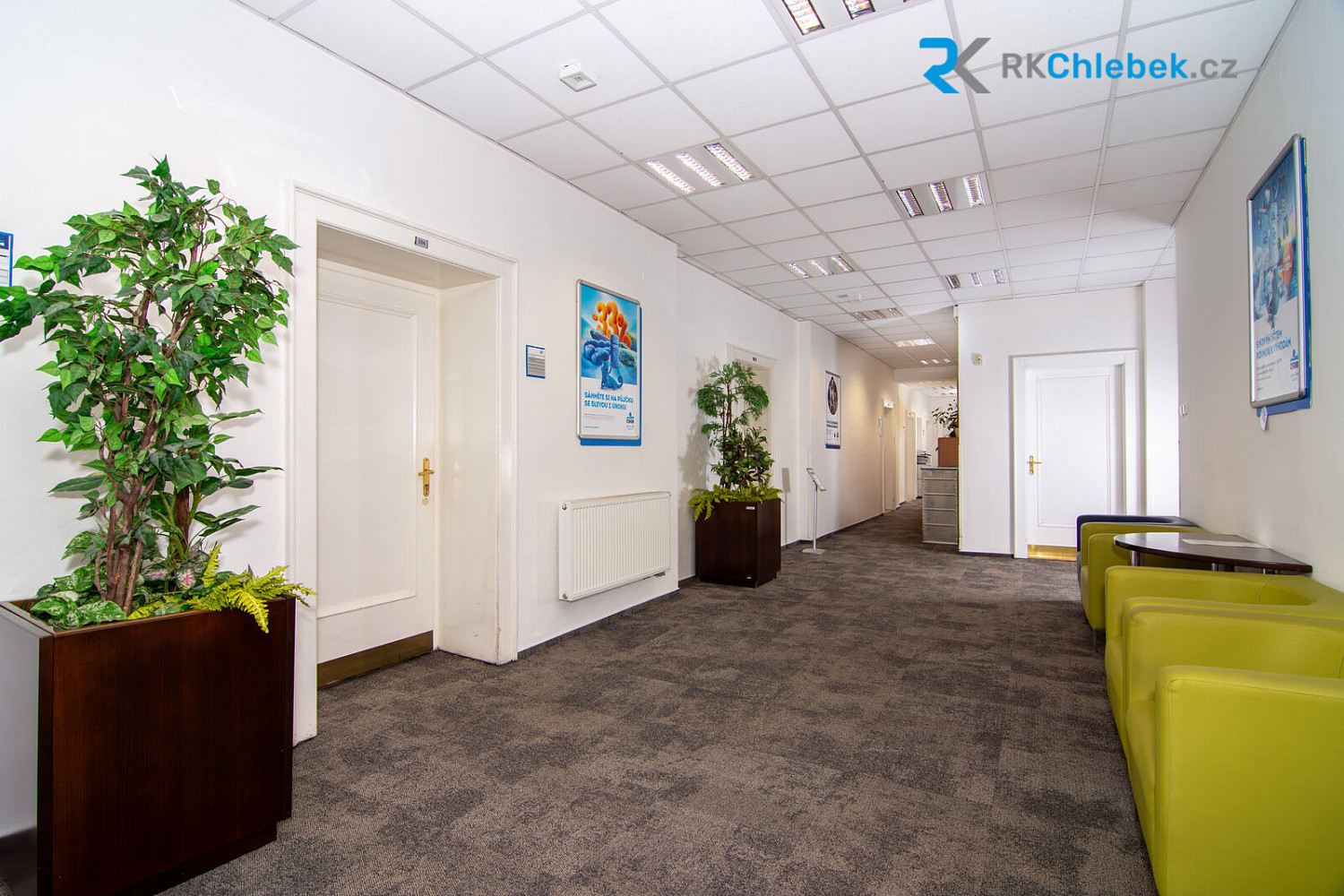Pronájem komerčního objektu (jiného typu) 380 m² – fotografie 3