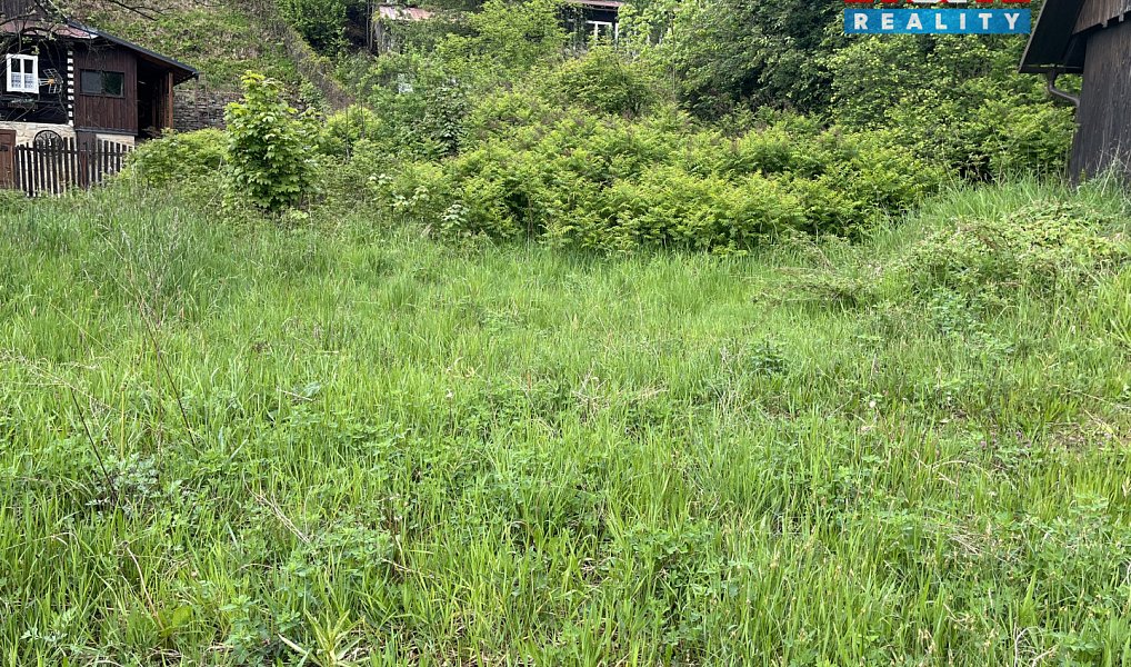 Prodej zahrady 580 m², Horní Bečva – náhled fotky 4