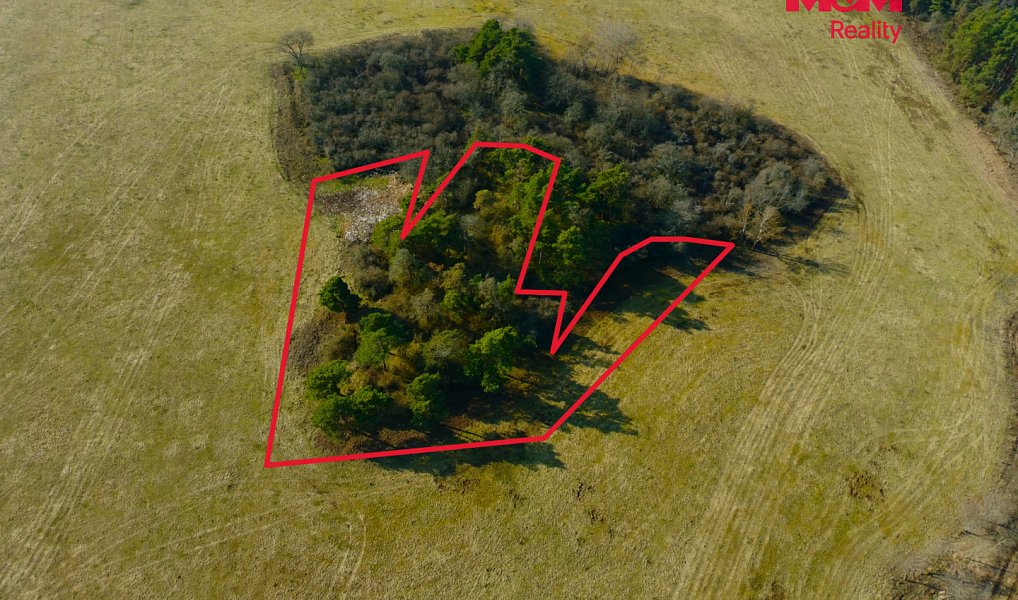 Prodej zahrady 15 633 m², Kladruby – náhled fotky 2