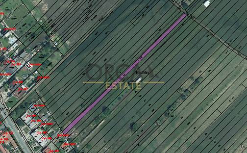 Prodej zahrady 1 058 m², Přísnotice, okres Brno-venkov