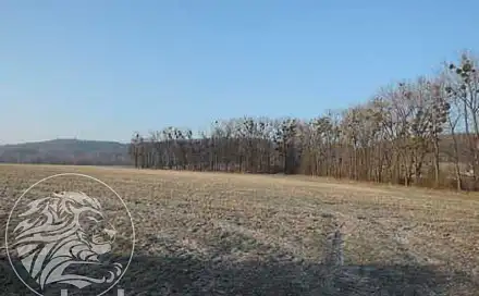 Dražba pole 9 293 m², Semanín, okres Ústí nad Orlicí