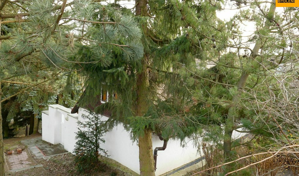 Prodej chaty/chalupy 100 m² s pozemkem 1 038 m², Konice – náhled fotky 3
