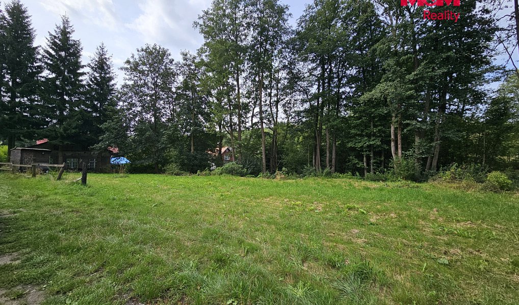 Prodej stavebního pozemku 2 304 m², Mařenice – náhled fotky 3