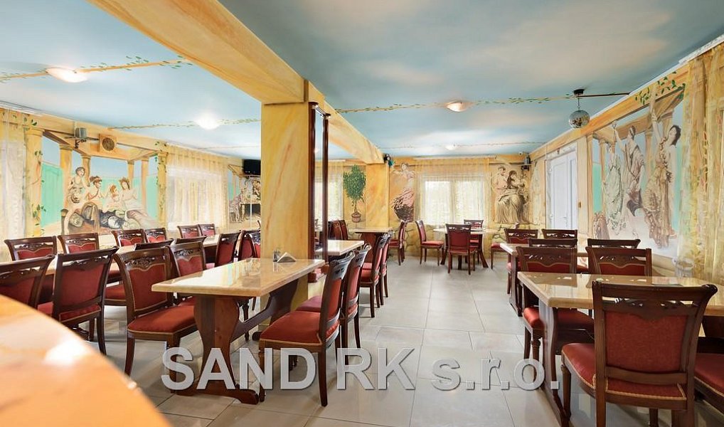 Pronájem domu 1 000 m² s pozemkem 5 177 m², Puclice – náhled fotky 2