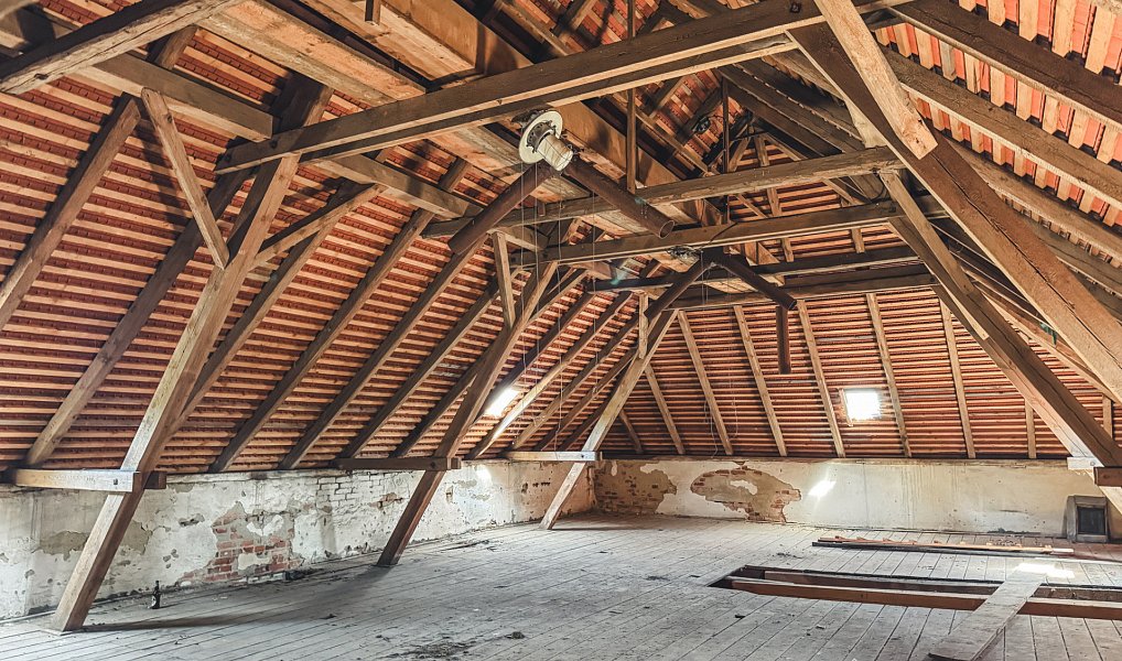 Prodej komerčního objektu (jiného typu) 10 232 m², Netolice – náhled fotky 8