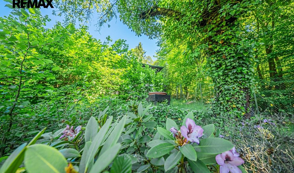 Prodej chaty/chalupy 16 m² s pozemkem 529 m², Nižbor – náhled fotky 19