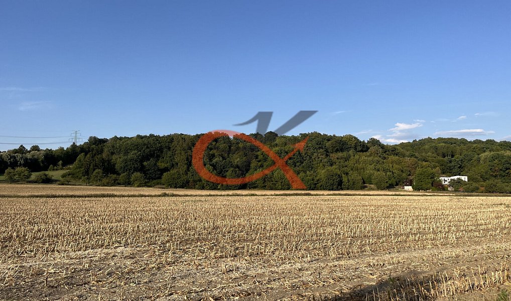 Prodej pole 4 766 m², Lešná – náhled fotky 3