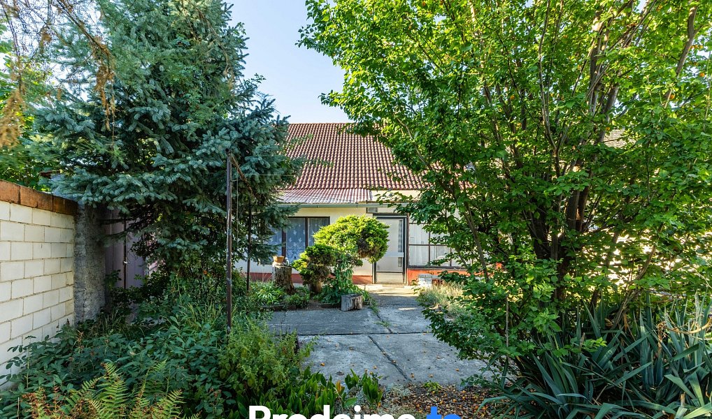 Prodej domu 104 m² s pozemkem 700 m², Hrušovany nad Jevišovkou – náhled fotky 14