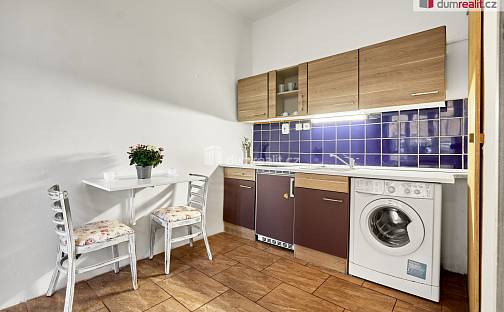 Pronájem bytu 1+kk 21 m², Emy Destinové, Ústí nad Labem - Ústí nad Labem-centrum