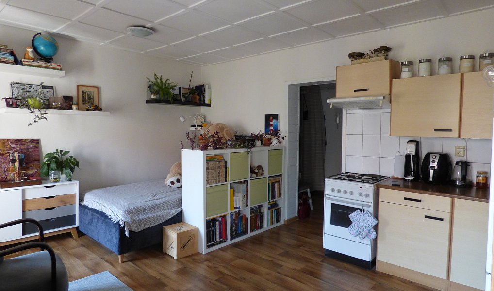 Pronájem bytu 1+kk 28 m², České Budějovice – náhled fotky 2