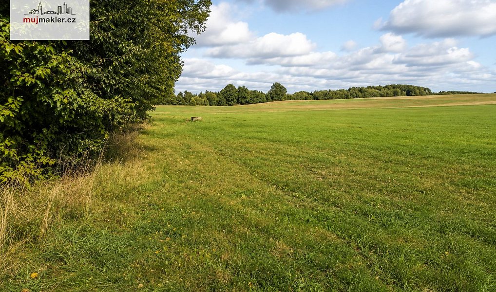 Prodej stavebního pozemku 2 845 m², Žirovnice – náhled fotky 5