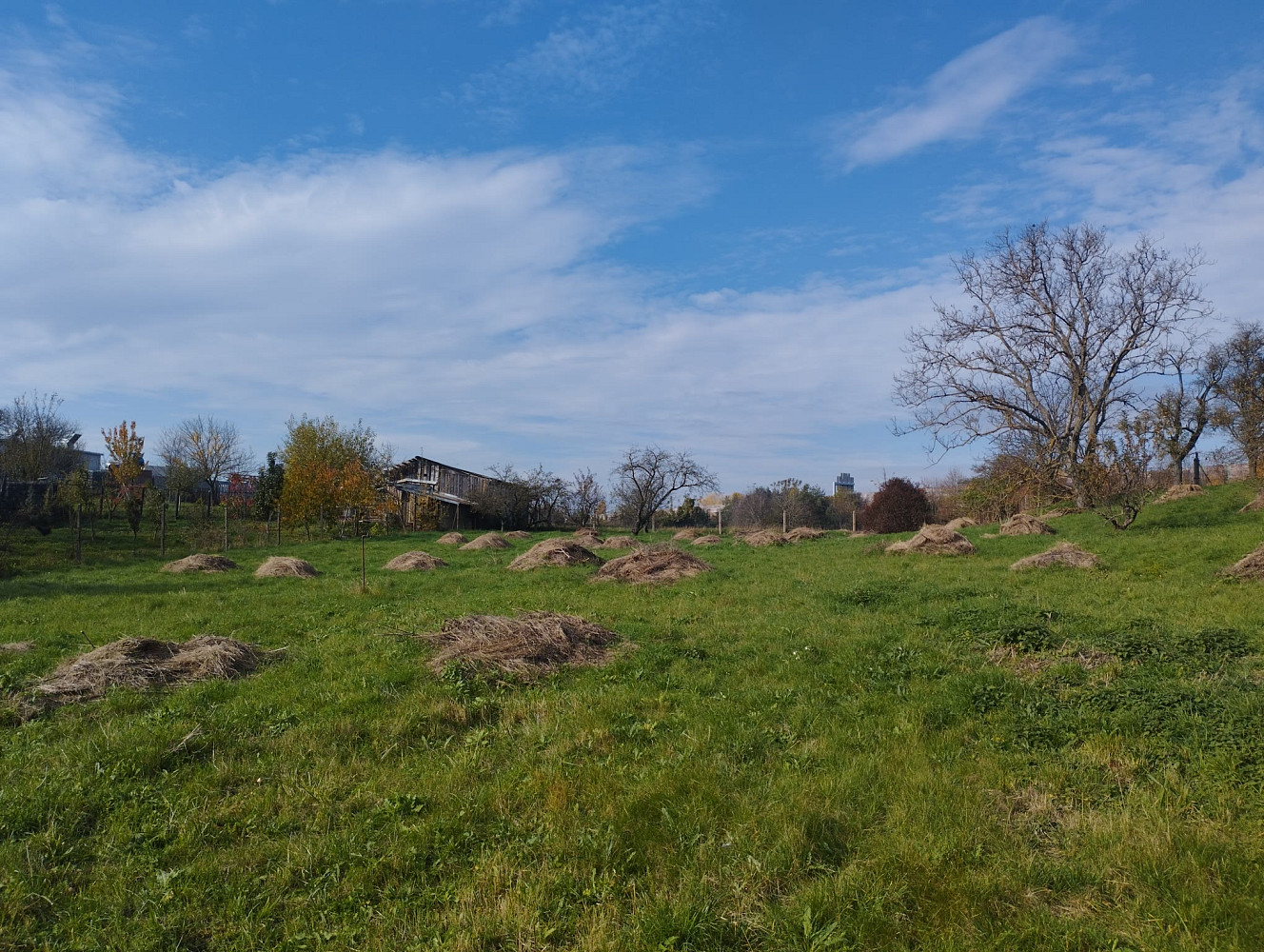 Prodej stavebního pozemku 4 411 m²