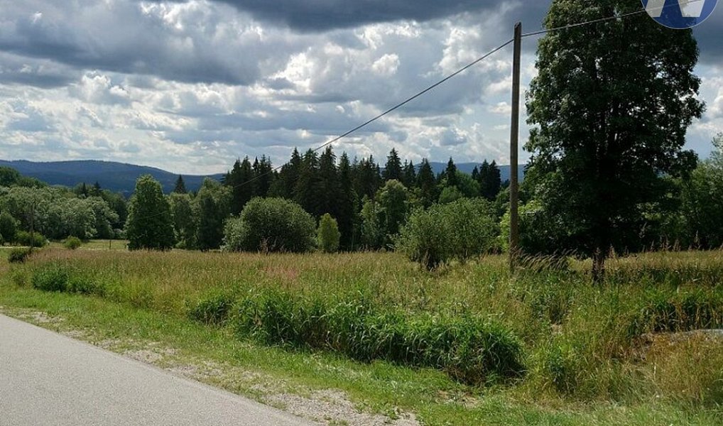 Prodej louky 18 127 m², Stožec – náhled fotky 5