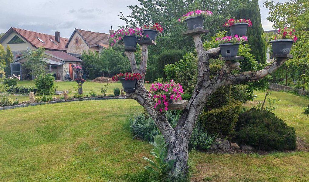 Prodej domu 250 m² s pozemkem 2 819 m², Čkyně – náhled fotky 9