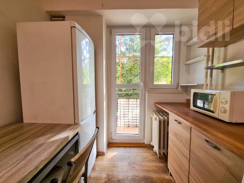 Pronájem bytu 2+1 43 m² – fotografie 3