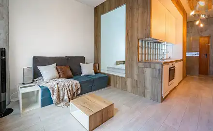 Prodej bytu 1+kk 31 m², Příkop, Brno - Zábrdovice