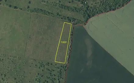 Prodej pole 3 855 m², Kozly, okres Louny
