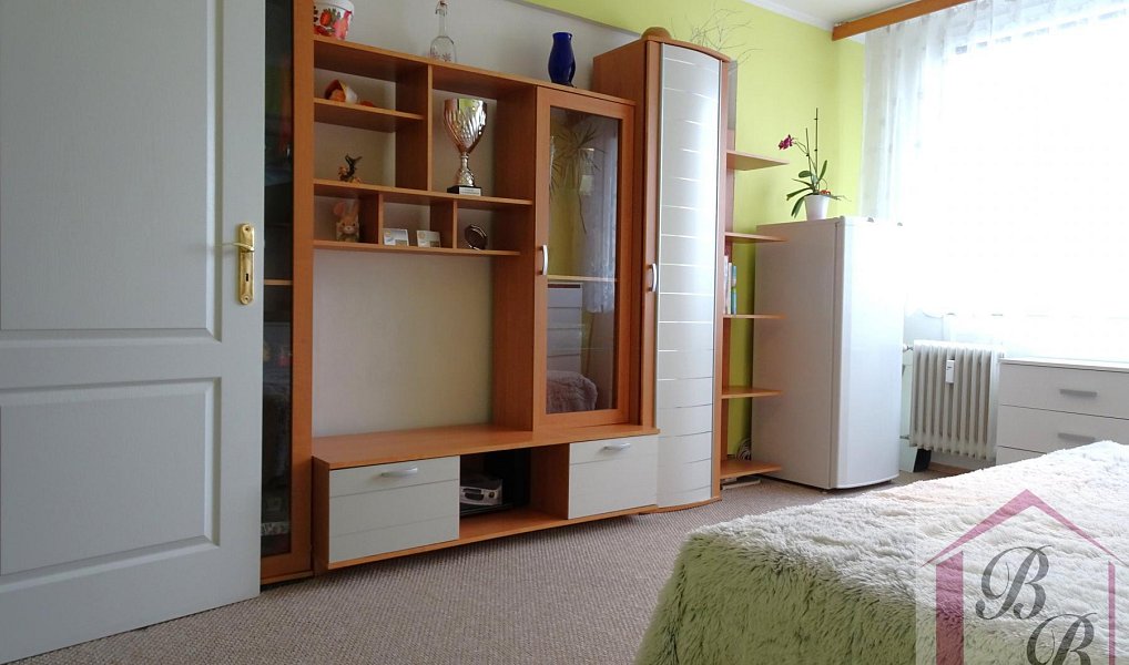 Prodej bytu 3+1 87 m², Mladá Boleslav – náhled fotky 16